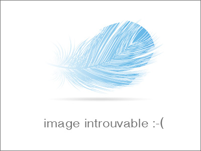 boutique métiers d'art noël